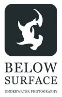 below_surface_logo.jpg